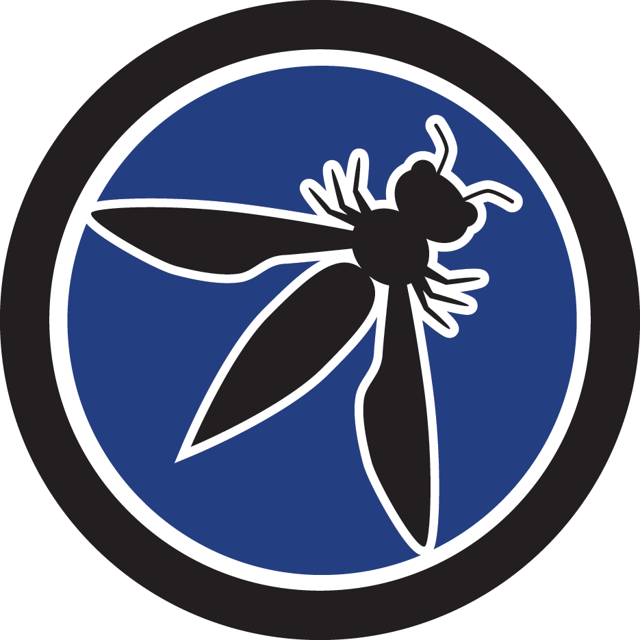 Developers OWASP top 10 security training